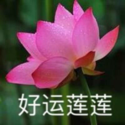 2155手游客户端下载